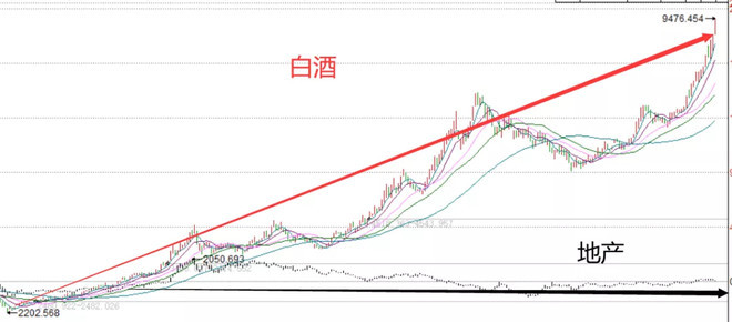 趋势价值飞哥，探索前沿，时代风采展现视频