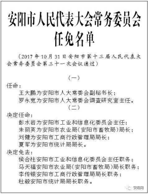 安阳市人事大调整，重塑城市未来格局的关键举措