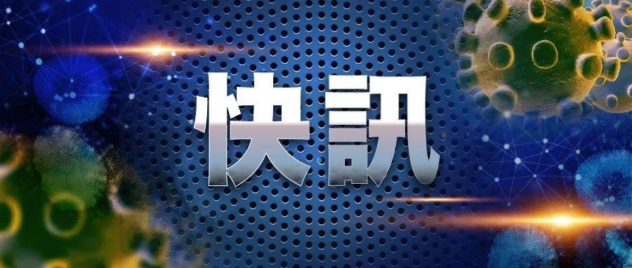 澳门最新动态全面解读