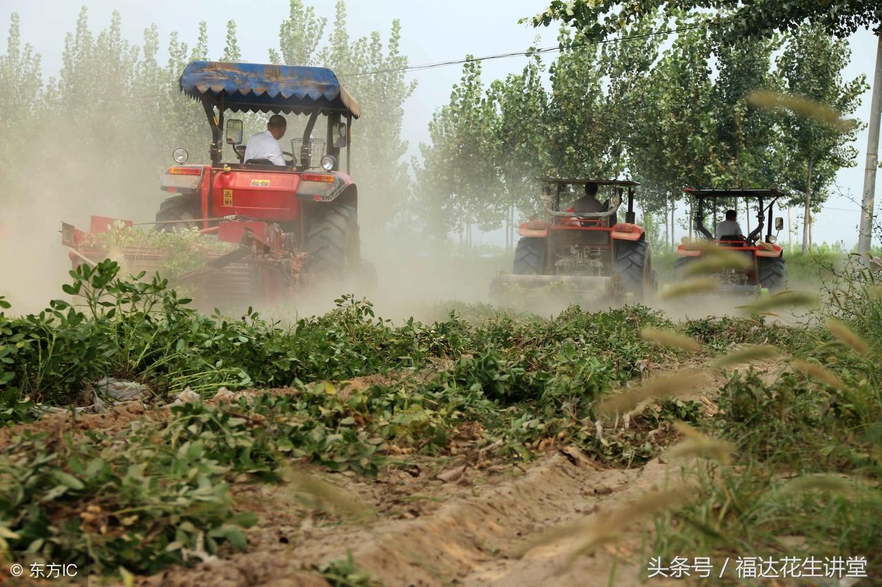 科技助力农业革新，最新自走式花生摘果机亮相！