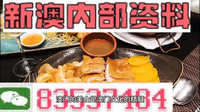 新澳门资料大全正版资料,动态说明解析_户外版66.301