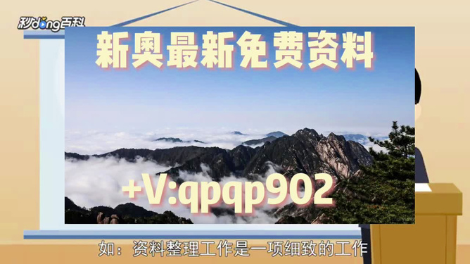 2024年正版资料免费大全一肖,深度应用策略数据_游戏版55.904