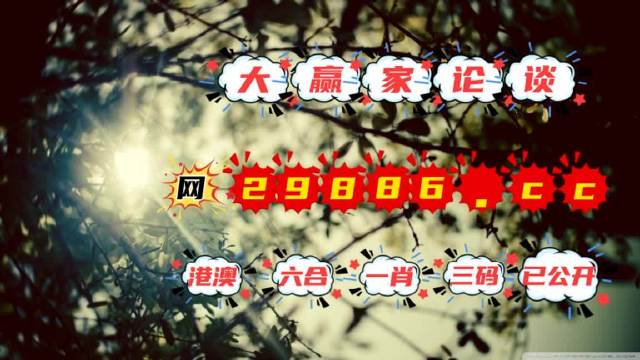 2024年一肖一码一中一特,最新热门解答落实_至尊版20.709