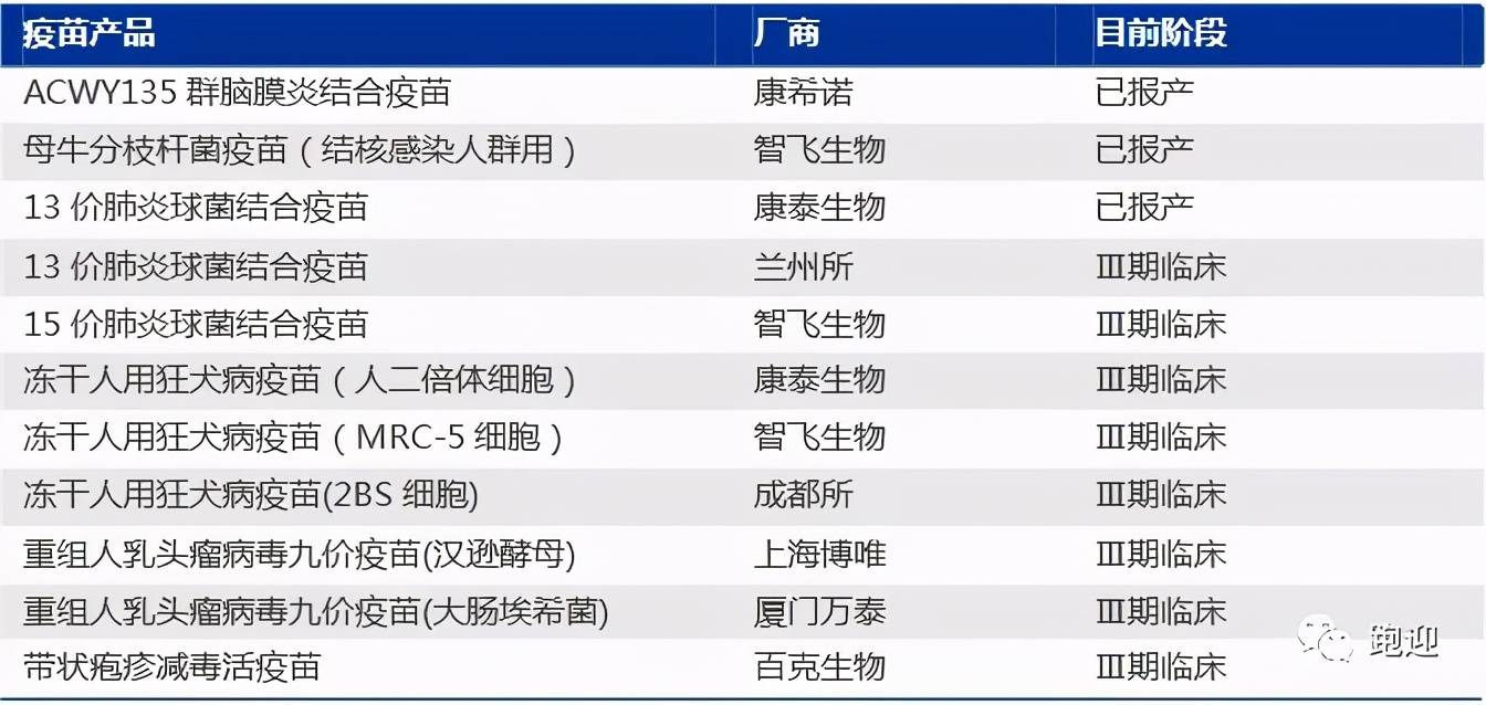 2024新奥资料免费精准071,未来展望解析说明_进阶款56.661