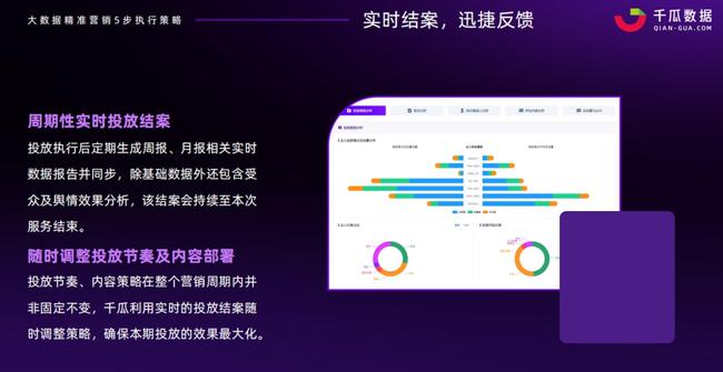 2024正板资料免费公开,精准分析实施步骤_Z10.328