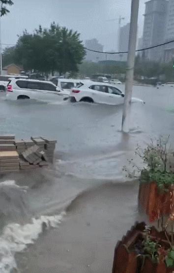 河南暴雨最新信息全面解读