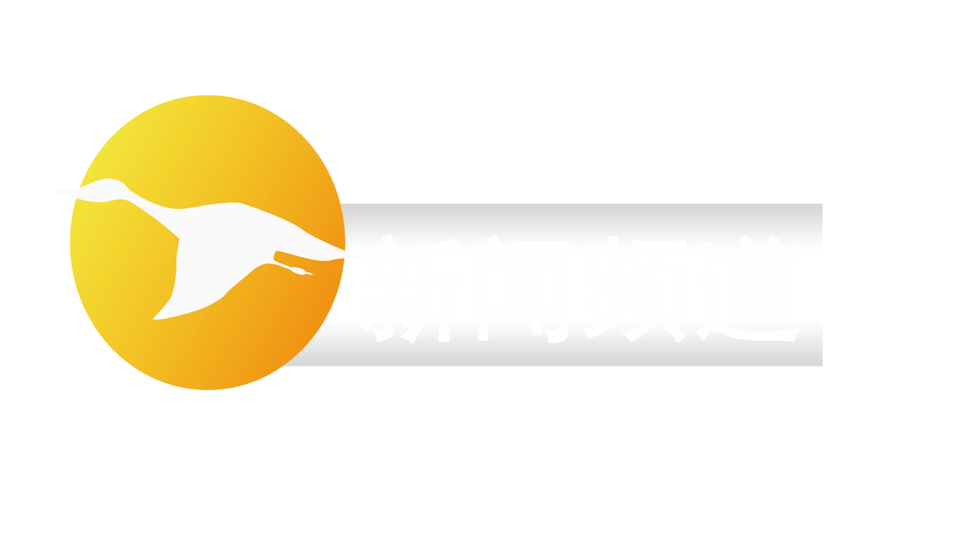 全球热点事件深度解析与新闻最新动态速递