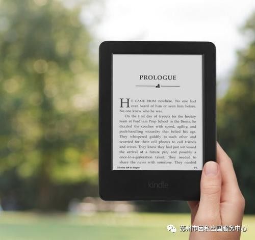 2024新澳天天彩免费资料,深入数据应用解析_Kindle43.389