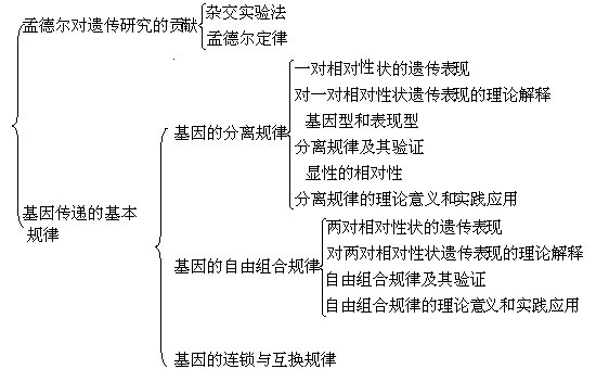 广东八二站新澳门彩,理论研究解析说明_定制版80.603