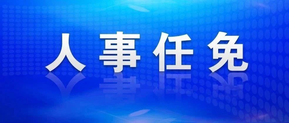 企业变革中的领导团队重塑与最新人事动态