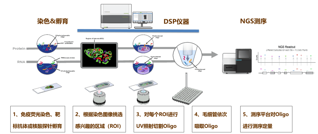 新澳门的资料新澳,新兴技术推进策略_RX版85.927