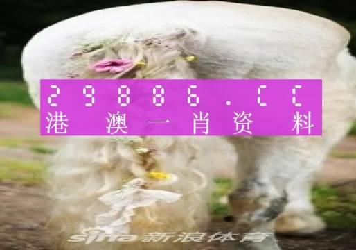 澳门必中一肖一码四不像,正确解答落实_2D39.567