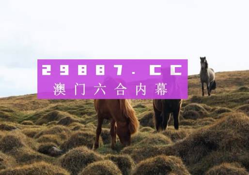 澳门4949开奖现场直播+开,可靠分析解析说明_36068.836