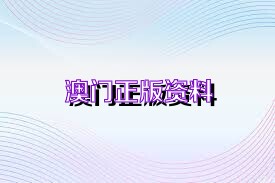 新澳门2024年资料大全管家婆,前瞻性战略定义探讨_黄金版78.594