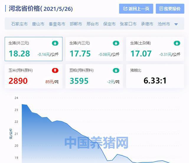 猪肉价格最新动态，影响因素解析、走势分析与未来预测