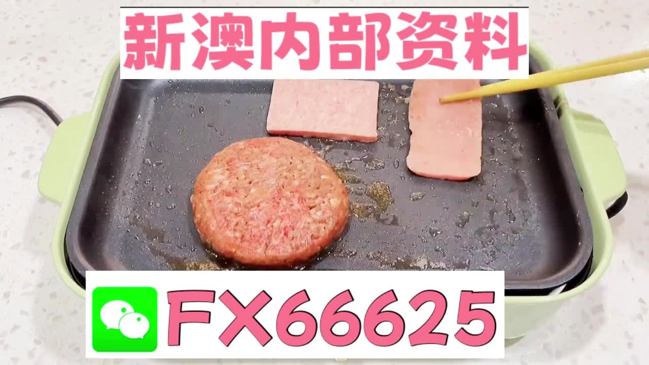 新澳门精准10码中特,数据支持计划解析_挑战版45.226