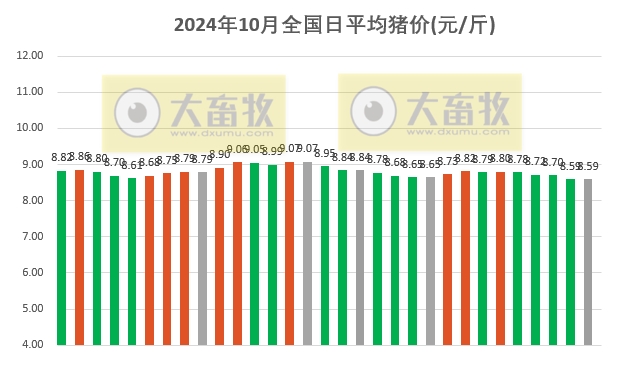 猪最新价格动态解析