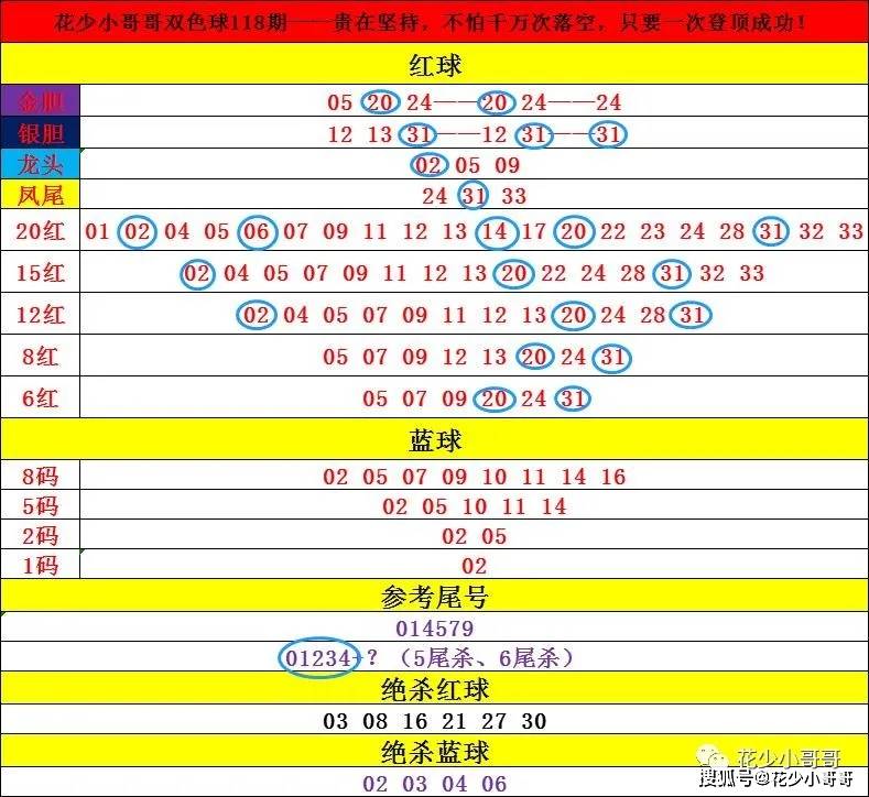 双色球最新结果开奖号,高效解析方法_4K93.582