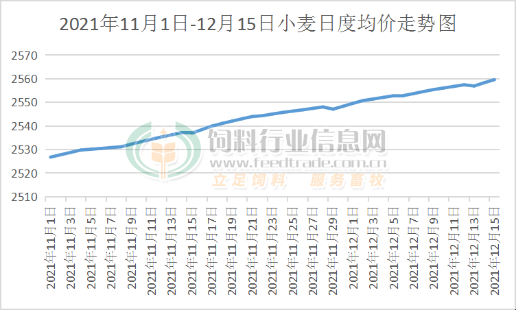 小麦最新行情解析