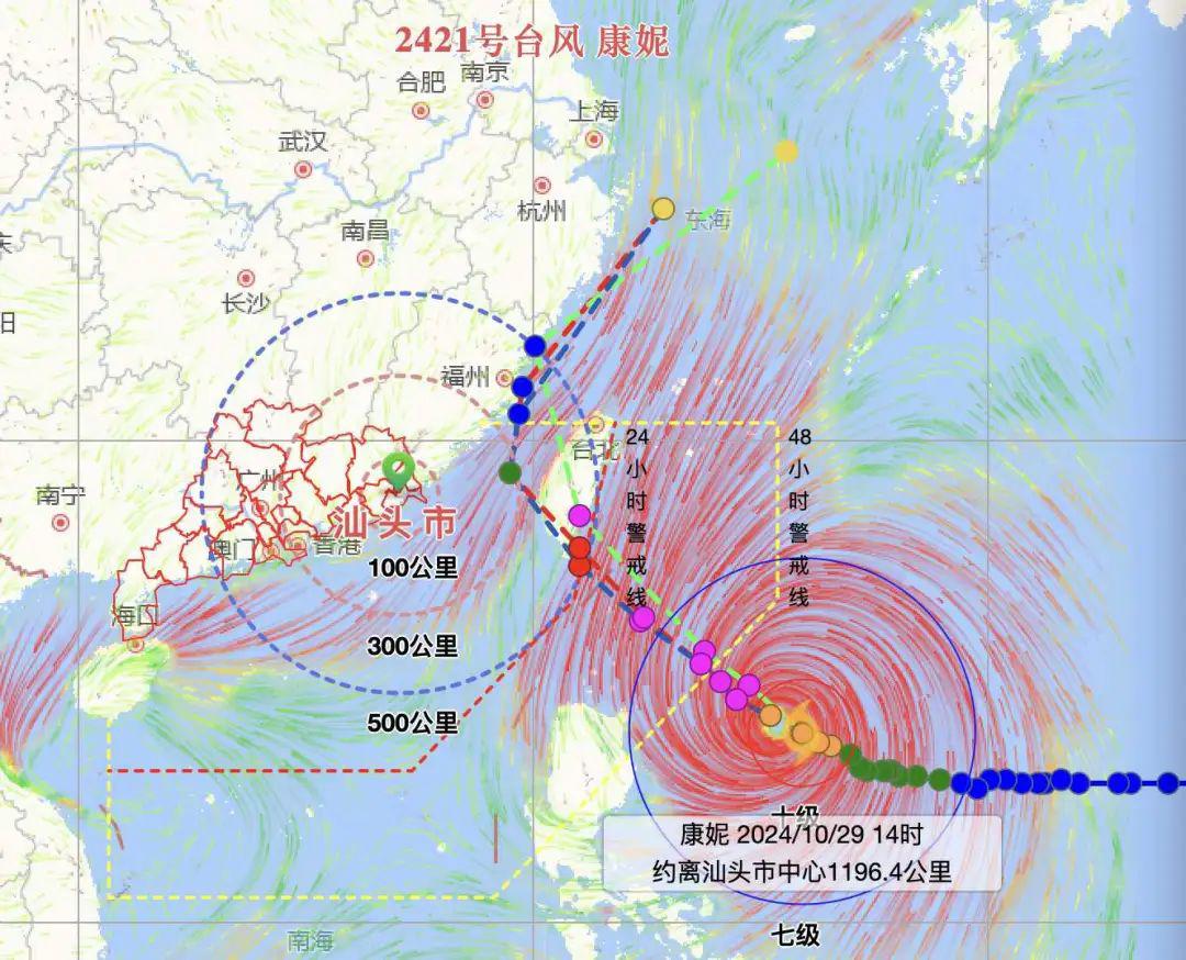 最新台风天气影响分析