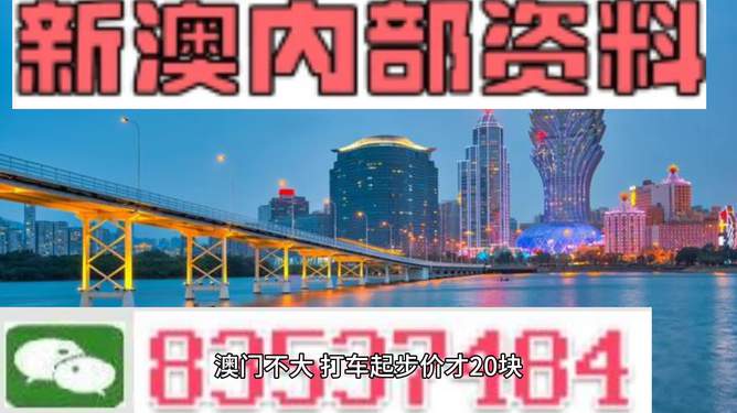 新澳门天天开彩精准龙门,现状解析说明_创意版11.145