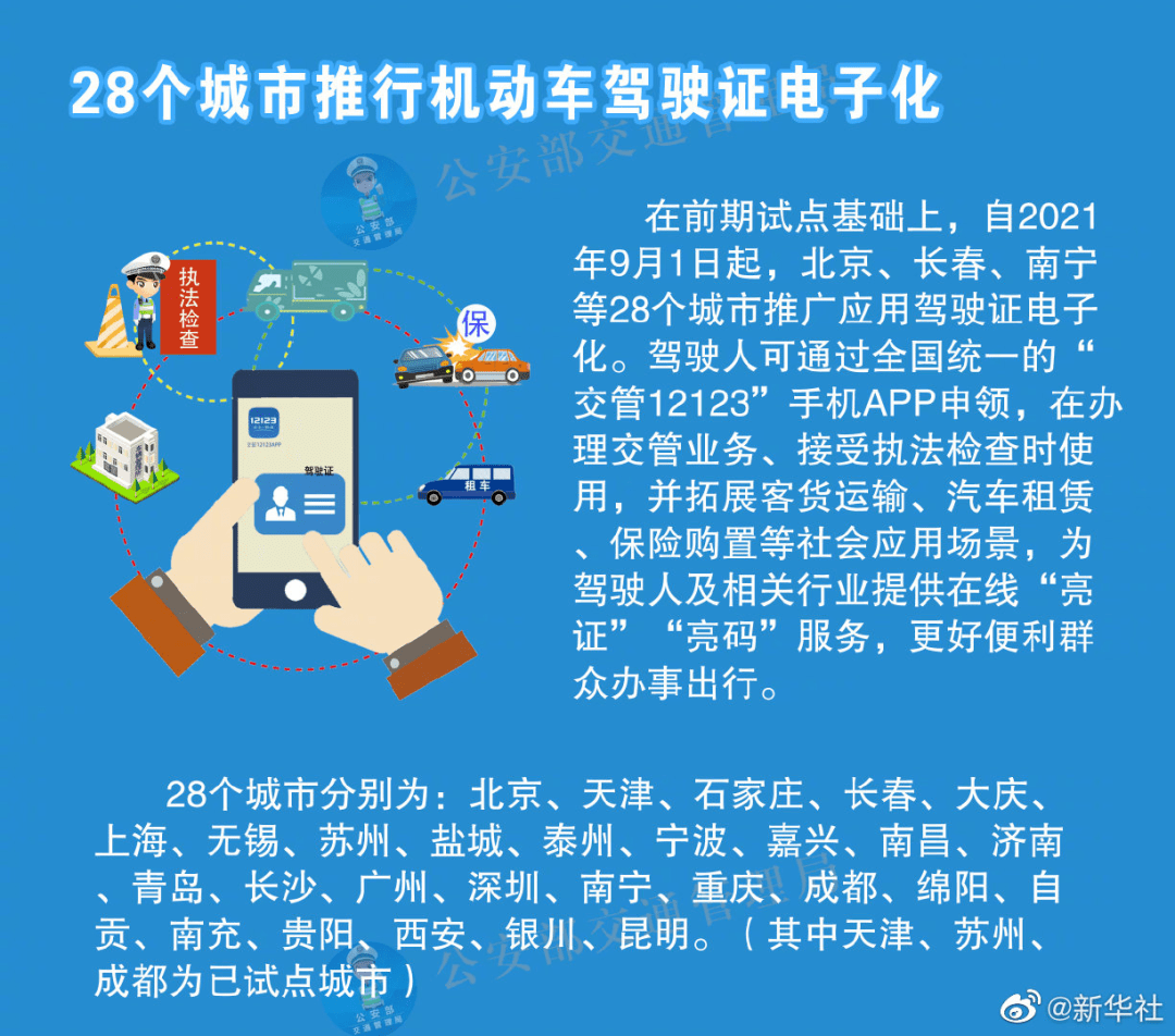 新奥最准免费资料大全,实用性执行策略讲解_BT17.250