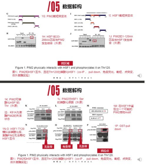 六盒宝典精准资料期期精准,深度数据应用策略_专属款41.224