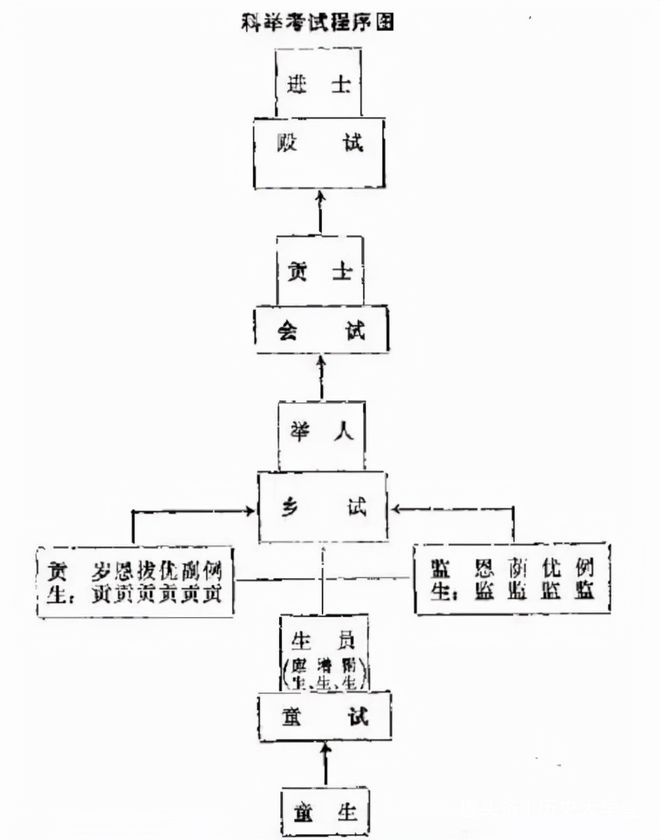 香港资料,重要性解释定义方法_豪华版81.318