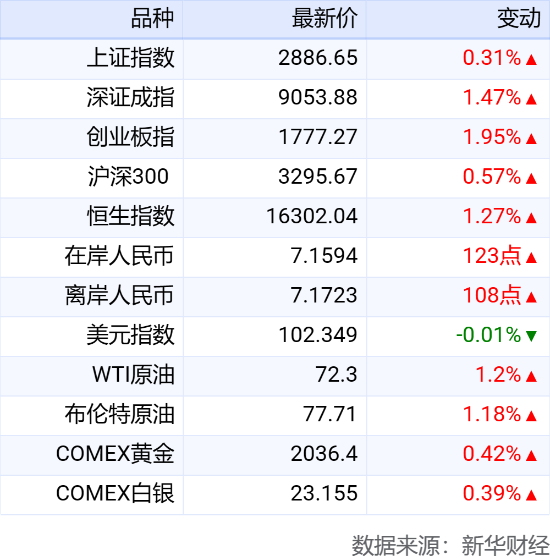 2024新澳天天彩正版免费资料,数据支持计划设计_铂金版48.498