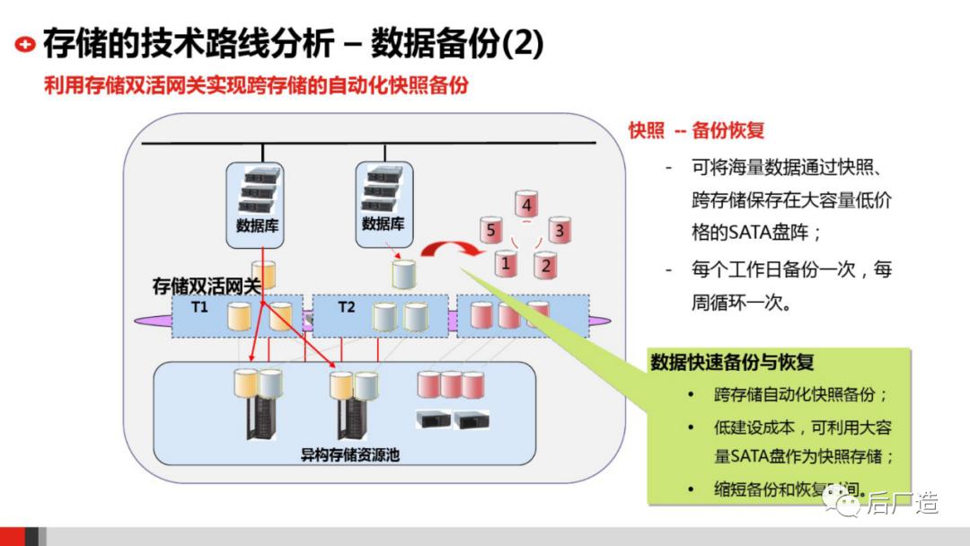 关于xx片的下载，探索与警示的探讨