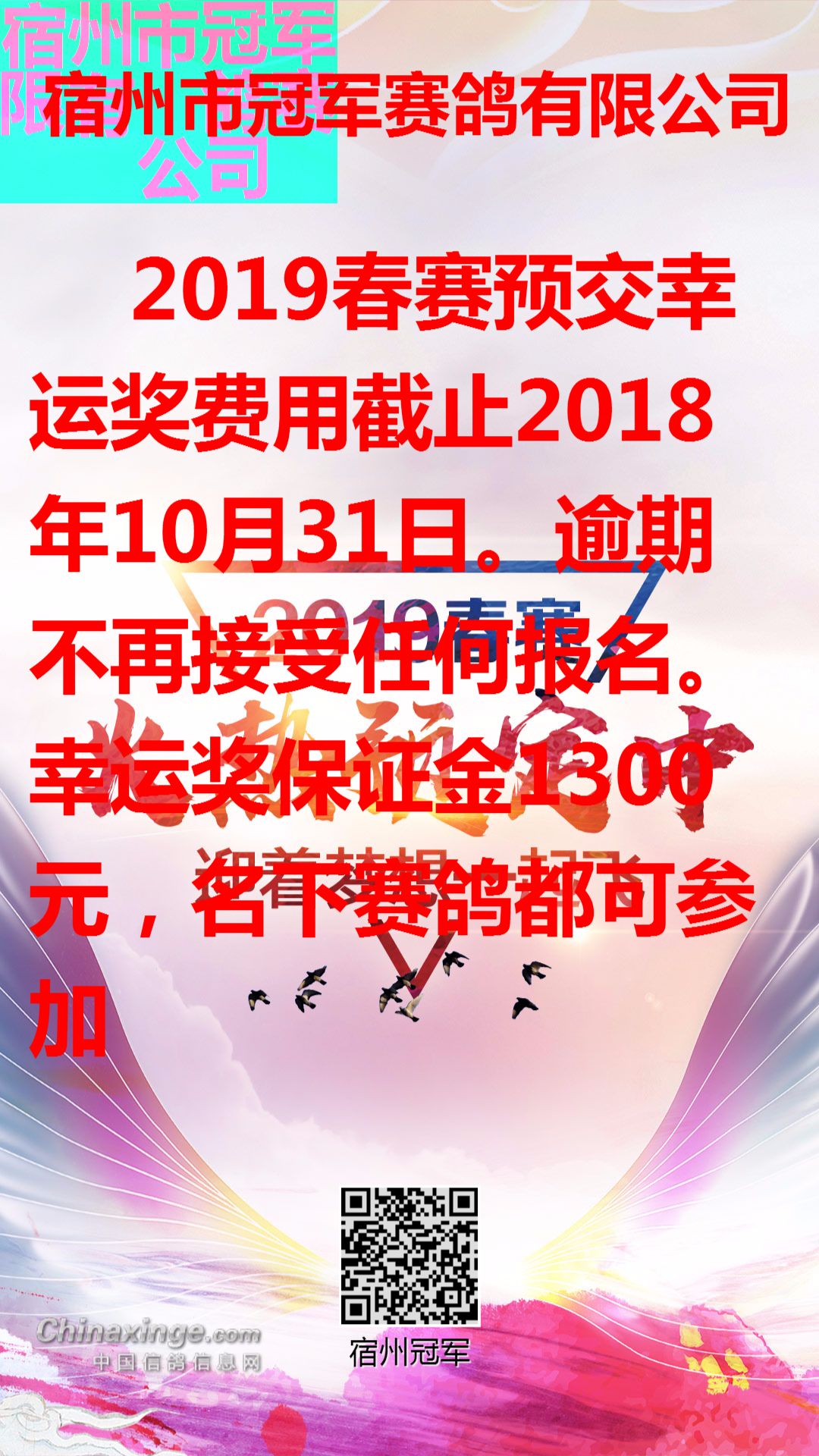 宿州冠军公棚最新公告，揭幕未来发展新篇章