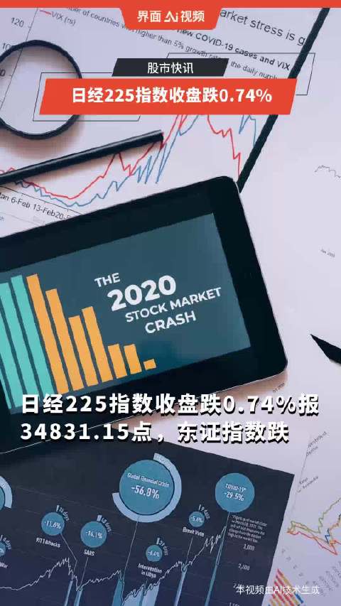 新奥开奖历史记录查询,动态解析词汇_N版74.225