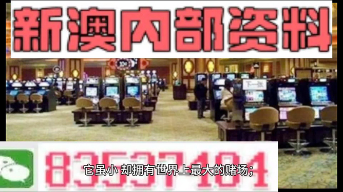 2024新澳精准资料免费提供,澳门内部,绝对经典解释落实_360124.355