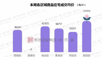 南屿二手房市场最新动态解析，房价走势与影响因素深度剖析