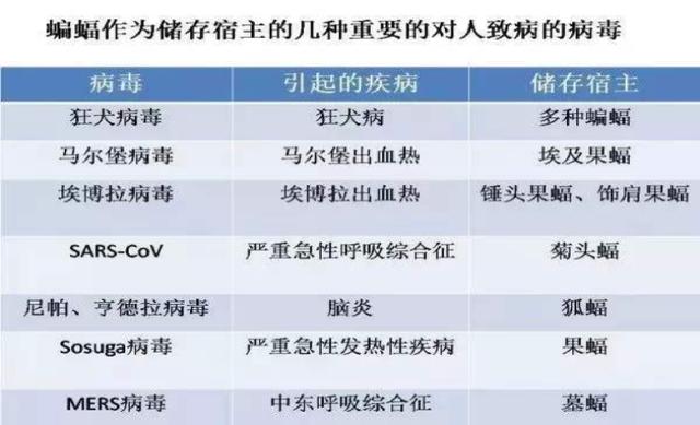 新奥天天彩免费资料最新版本更新内容,权威诠释推进方式_旗舰版3.639