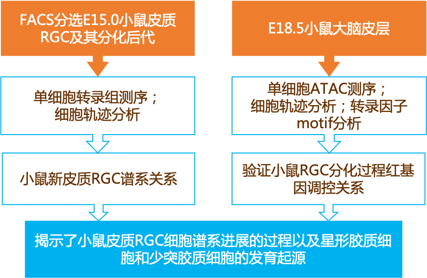 2024新奥精准正版资料,实证解读说明_高级款21.960